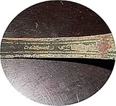 Spoon.webp