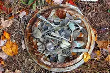 NH FINDS 10-14 022.webp