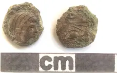 Coin.webp