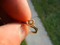 DSCN0381.webp
