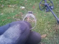 ring.webp