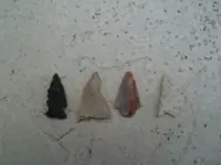 P1010420.webp