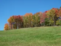 tmpphpCg8Z2W.webp