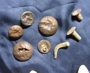 10,11finds3.webp