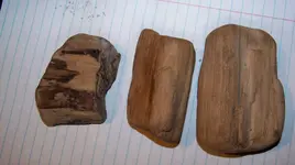 spear point  petrified wood 003.webp
