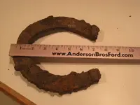 10-2-11 Finds 025.webp