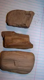 spear point  petrified wood 004.webp