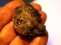 NH FINDS 08-22 011.webp