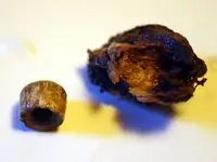 NH FINDS 08-22 013.webp