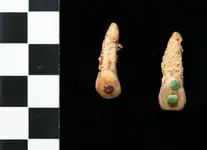 mayan-ruler-fingers-bowl-jeweled-teeth_23754_600x450.webp