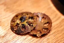 NH FINDS 08-22 008.webp