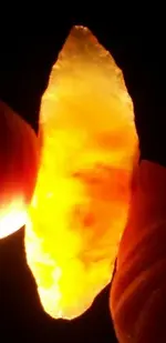 100_8434.webp