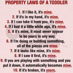 Property laws of a toddler.jpg