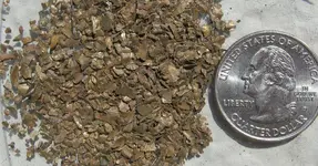 5grams.webp