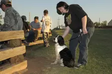BBQ-5.webp