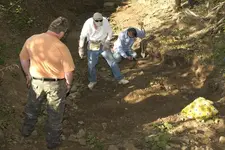 Creek-2.webp