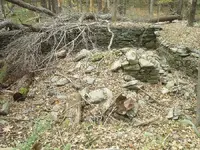 SUC50001.webp