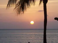 100_0534.webp