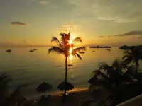 100.webp