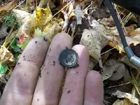 OCT 16TH  HUNT WITH SNIFFY BUTTONS 004.webp