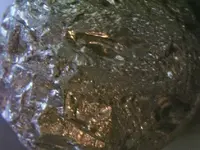 100_4823.webp