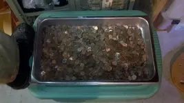 surface found pennies for 2011.webp
