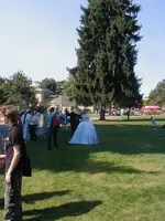 P1010021 (5).webp
