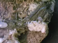 100_4833.webp