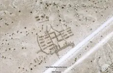 Spot in Desert1.webp