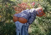 scarecdowbuttn.webp