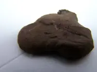 strange metal 003.webp