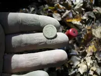 OCT 28th EARLY NAVAL BUTTON 005.webp