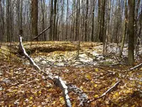 100_1707.webp