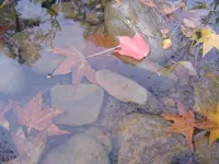 Country roads & mountain streams 008.webp