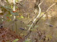 Country roads & mountain streams 002.webp