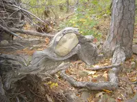 Country roads & mountain streams 017.webp