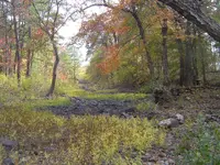 Country roads & mountain streams 016.webp