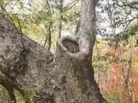 Country roads & mountain streams 013.webp