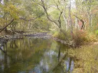 Country roads & mountain streams 012.webp