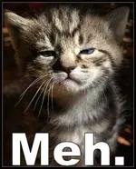 meh_cat.webp