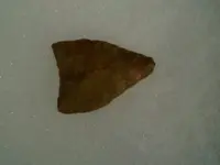 arrowhead.webp