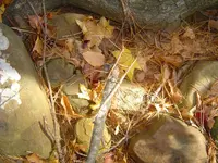 Country roads & mountain streams 019.webp