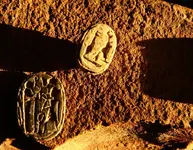 scarab3.webp