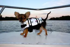 IMG_0490-1.webp IMG_0490-1.webp