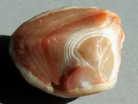Agate-CircledImg_6436CSSS.webp