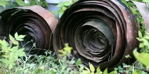 NH FINDS 08-15 011.webp