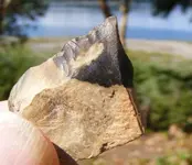 DSCF0004.webp