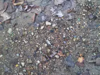 IMG00075-20111016-0829.webp