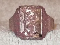 Ring 001.webp