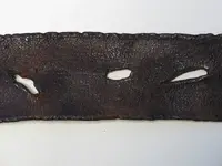 Belt_Buckle_Pin (3).webp
